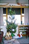 APinfrontofXmastree1965.jpg
