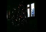 Xmastreelightsdec67.jpg